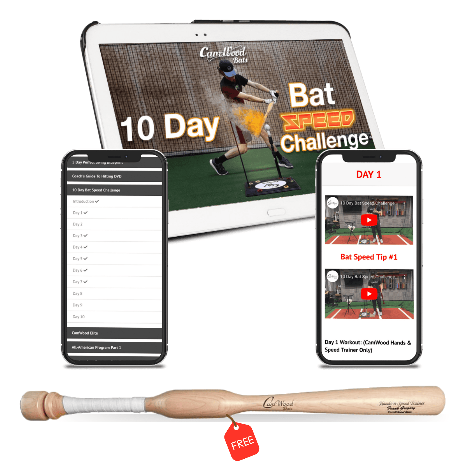 Camwood Bat 30 Day Program Free 58 - 81nfljb